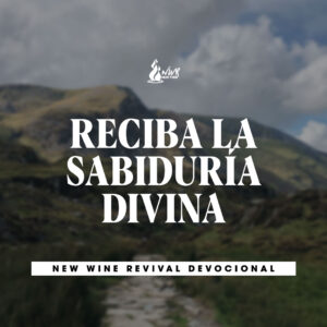 Read more about the article RECIBA LA SABIDURÍA DIVINA