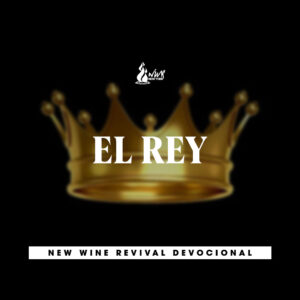 Read more about the article El rey