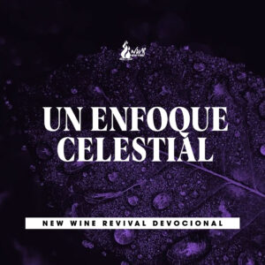 Read more about the article Un Enfoque Celestial