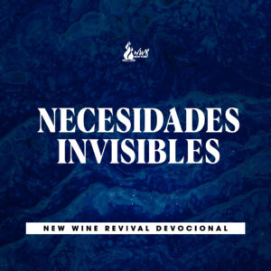 Read more about the article NECESIDADES INVISIBLES