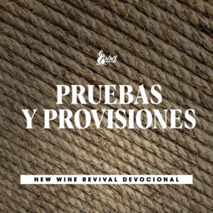 Read more about the article PRUEBAS Y PROVISIONES