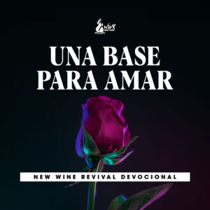 Read more about the article UNA BASE PARA AMAR