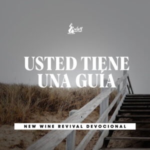 Read more about the article Usted tiene una guía