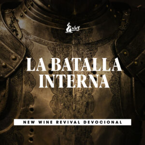 Read more about the article La batalla interna