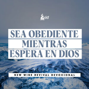 Read more about the article Sea obediente mientras espera en Dios