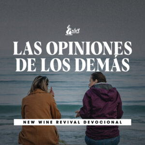 Read more about the article Las opiniones de los demás