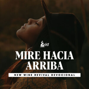 Read more about the article Mire hacia arriba