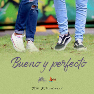 Read more about the article Bueno y perfecto