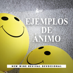 Read more about the article Ejemplos de ánimo