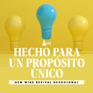 Read more about the article Hecho para un propósito único