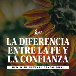 Read more about the article La diferencia entre la fe y la confianza