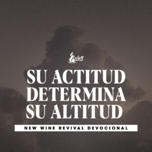 Read more about the article Su actitud determina su altitud
