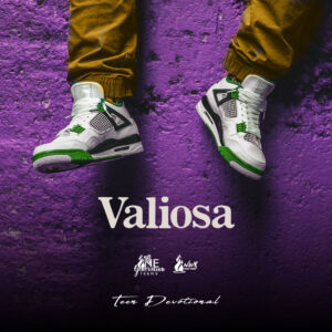 Read more about the article Valiosa