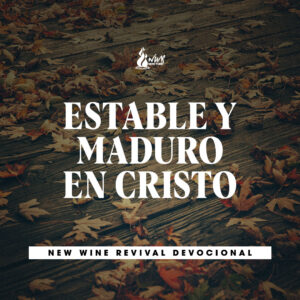 Read more about the article Estable y maduro en Cristo
