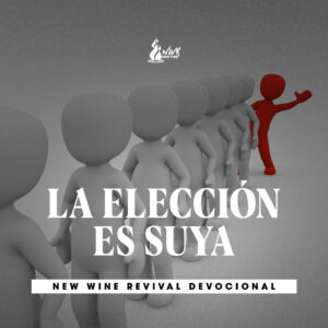 Read more about the article La elección es suya