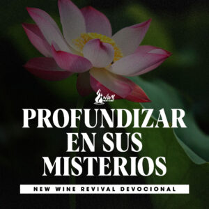 Read more about the article Profundizar en sus misterios