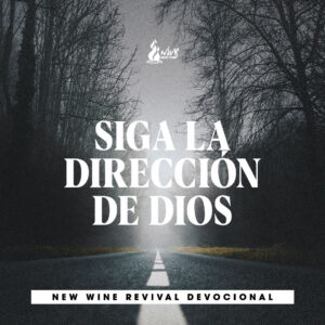 Read more about the article Siga la dirección de Dios