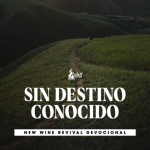 Read more about the article Sin destino conocido