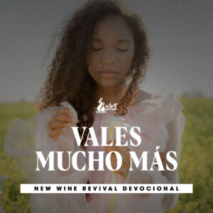 Read more about the article Vales mucho más