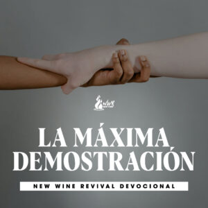 Read more about the article La máxima demostración