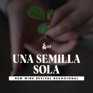 Read more about the article Una semilla sola