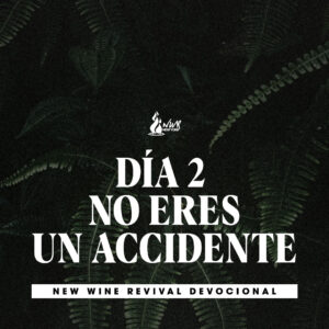 Read more about the article DÍA 2 • No eres un accidente