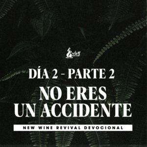 Read more about the article Día 2/Parte 2 • NO ERES UN ACCIDENTE