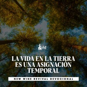 Read more about the article Día 6 – La vida en la tierra es una asignación temporal