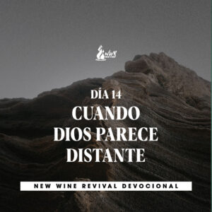 Read more about the article Día 14 • Cuando Dios parece Distante