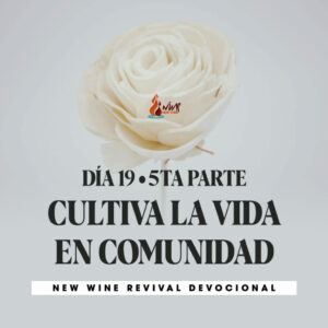 Read more about the article DÍA 19 – 5ta Parte • Cultiva la vida en comunidad