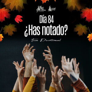 Read more about the article Día 84 • ¿Has notado?