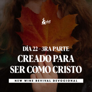 Read more about the article 18Nov – Día 22 – 3ra Parte – Creado para ser como Cristo