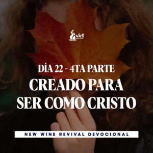 Read more about the article 19Nov – Día 22 – 4ta Parte – Creado para ser como Cristo