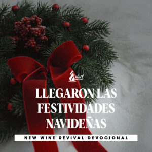 Read more about the article 18Dic – Llegaron las Festividades Navideñas.