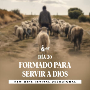 Read more about the article Día 30 • Formado para servir a Dios