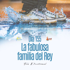 Read more about the article DÍA 155 • La fabulosa familia del Rey