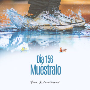 Read more about the article DÍA 156 • Muéstralo