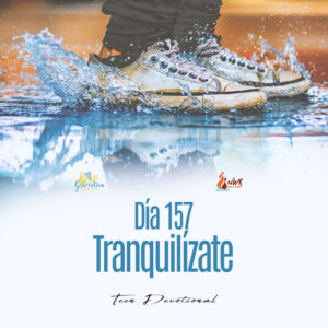 Read more about the article DÍA 157 • Tranquilízate